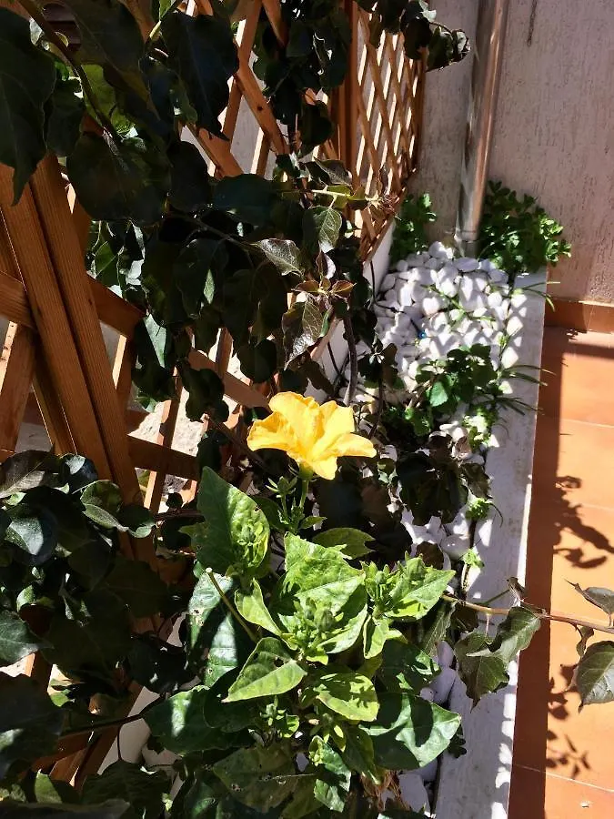 A casa di Beppe Appartamento Marina di Ragusa Italia